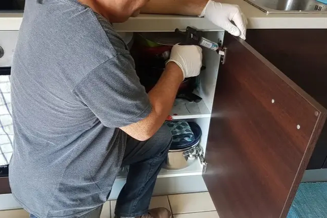 Intervention professionnelle de désinsectisation