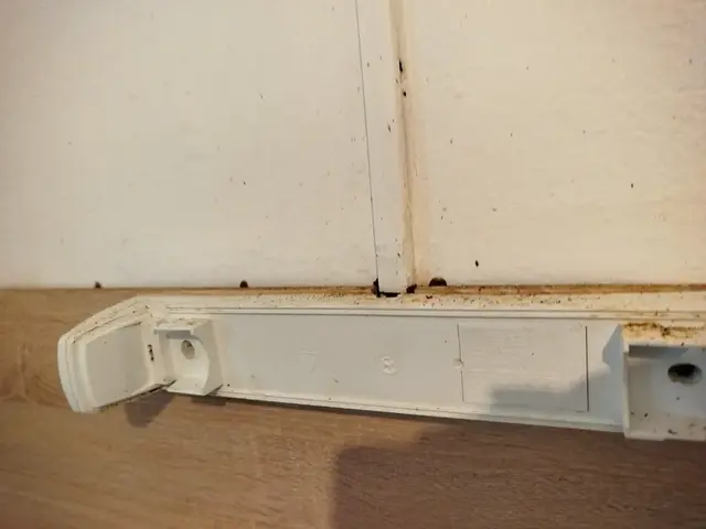 Traitement professionnel contre les cafards